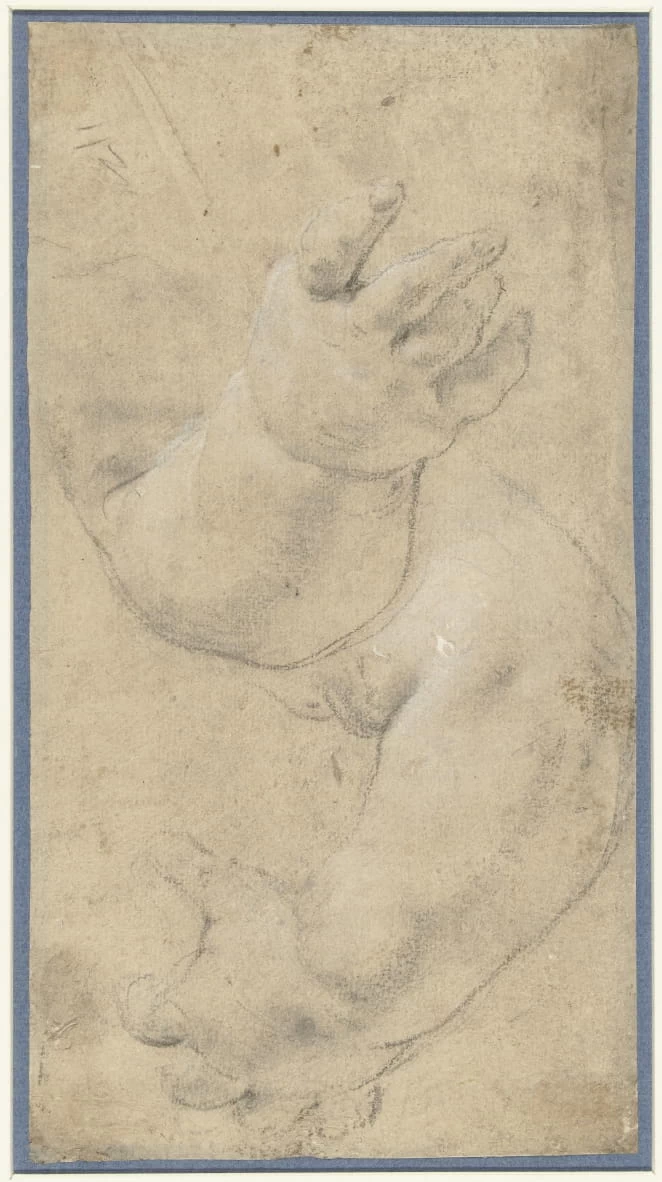 Domenico Zampieri detto Domenichino - 242, Studio delle braccia di due bambini, Rijks Museum, Amsterdam